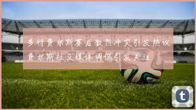 多特费尔斯赛后激烈冲突引发热议费尔斯社交媒体调侃引发关注